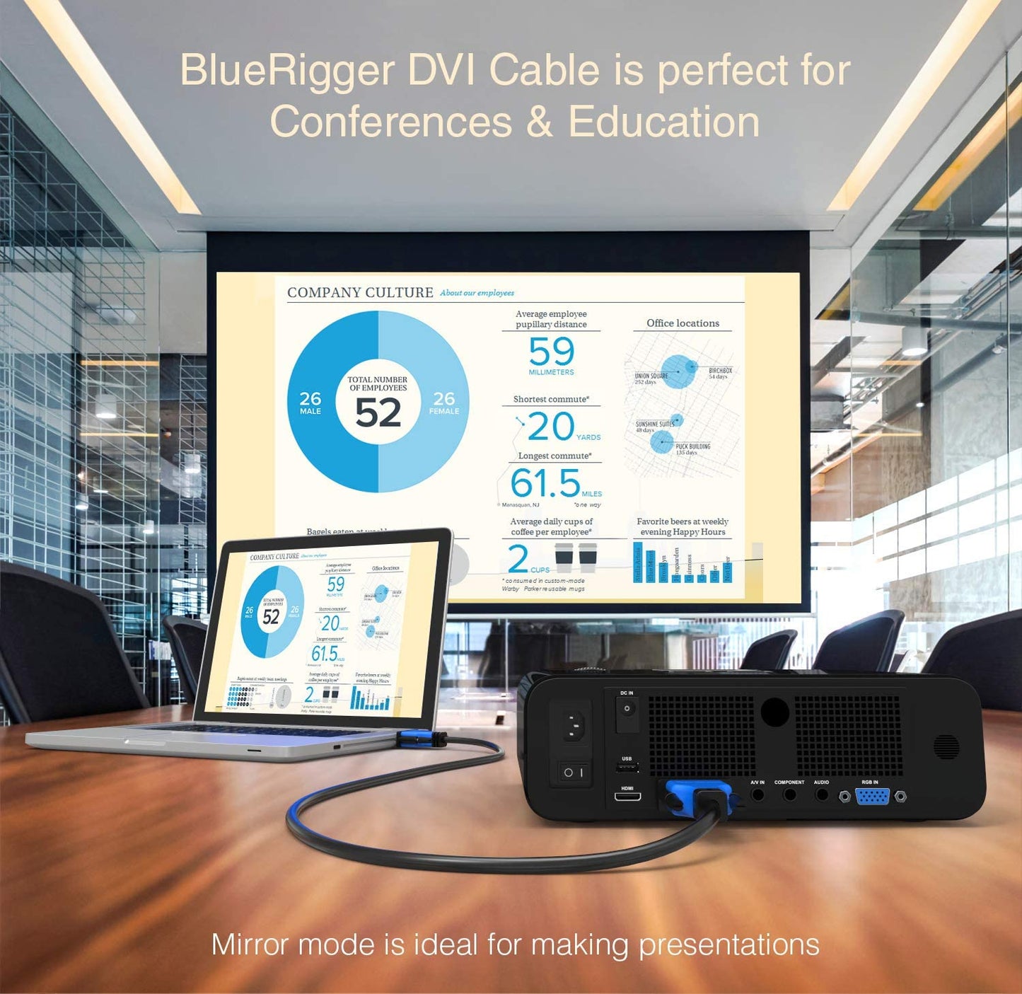 DVI to DVI Monitor Cable (10FT, 24+1 Dual Link, Digital Video Cable, Male to Male) - for Gaming, DVD, Laptops, HDTV and Projector